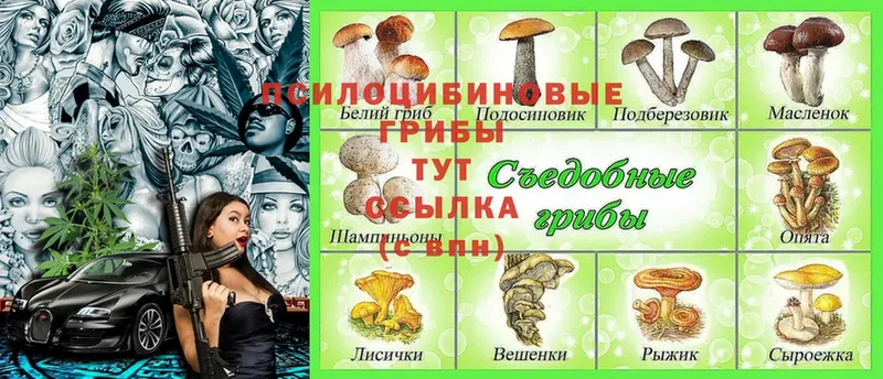 Галлюциногенные грибы Cubensis  Белый 